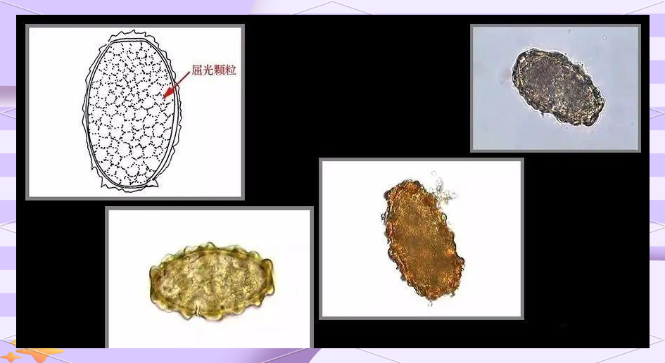 每日大赛吃瓜 与“微博热搜”相比