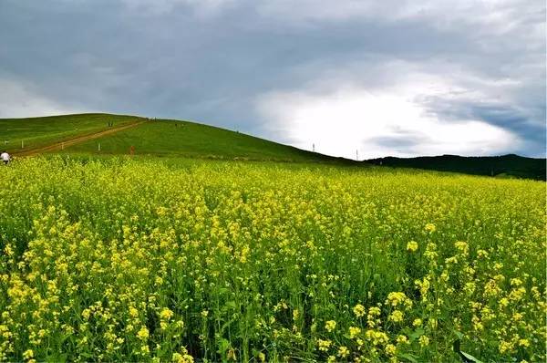 动漫+在线+2d 动漫线许多作品需要大会员