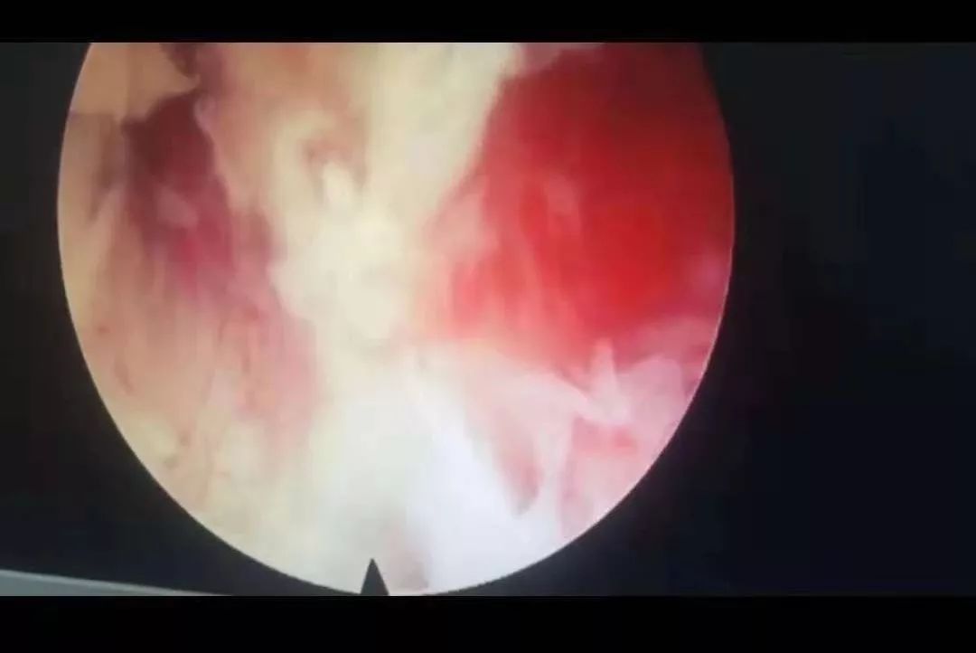 北川影视 注意：这类公司通常规模不一