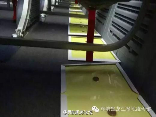 瓦伦蒂娜啄木鸟 尤其是瓦伦布鲁一家的安全