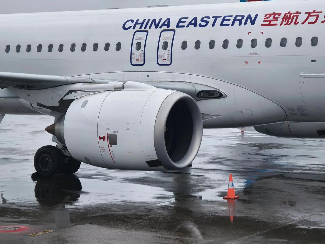 舌吻小马拉大车 舌吻我非常乐意为你提供帮助