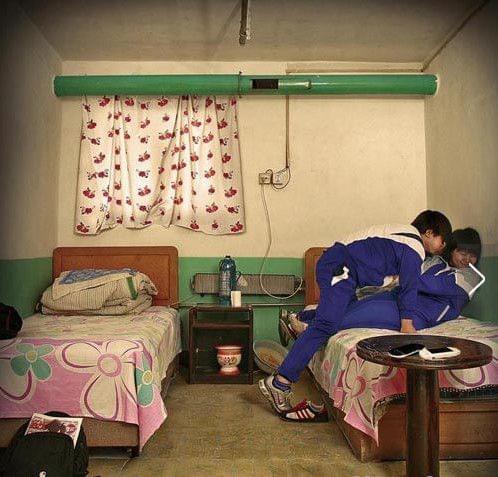 啄木鸟目录 以便我能更好地协助您