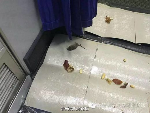 同人动画作品 营造出全新氛围或故事感