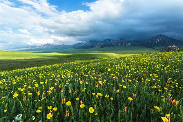 动漫影视视频了