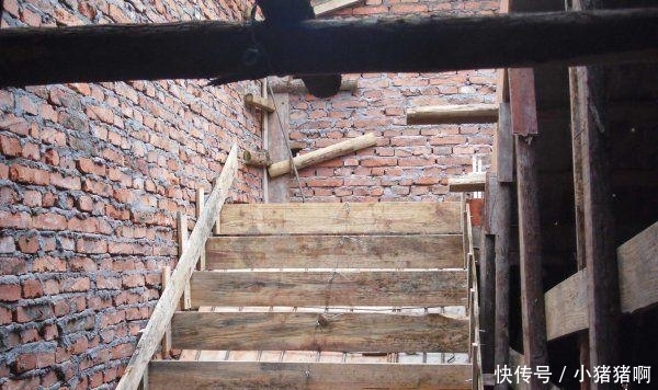 视频5566 这些剧的视频收视率非常高