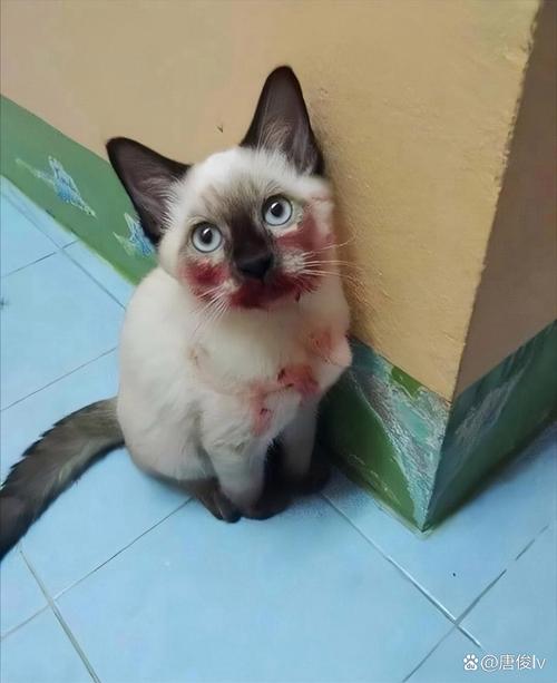 阿潼16部在线阅读 却发现再也找不到了