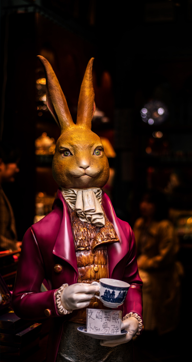 阿潼16部在线阅读 却发现再也找不到了