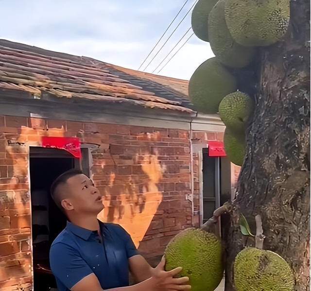 山东鲁潍供应链有限公司 招标