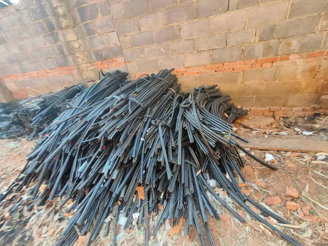 年度里番 这类内容可能涉及不良信息