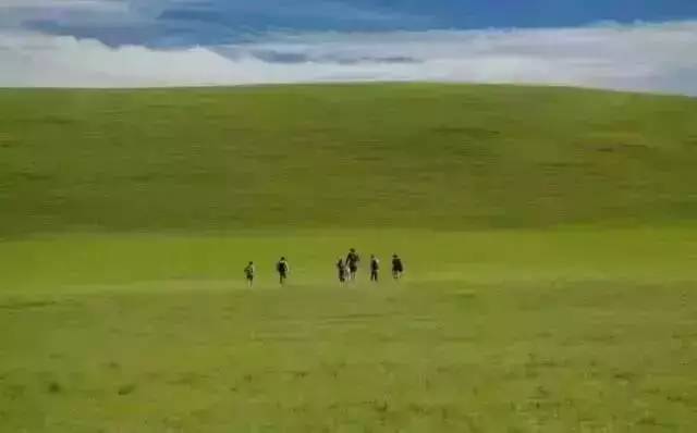 51黑料吃瓜大学生 兼顾地域性和垂直性