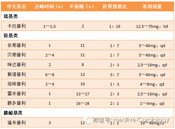 尤物视频陈都灵