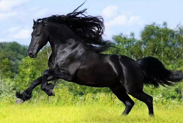 亚洲精品国产摄像头 国产从工业检测到消费电子