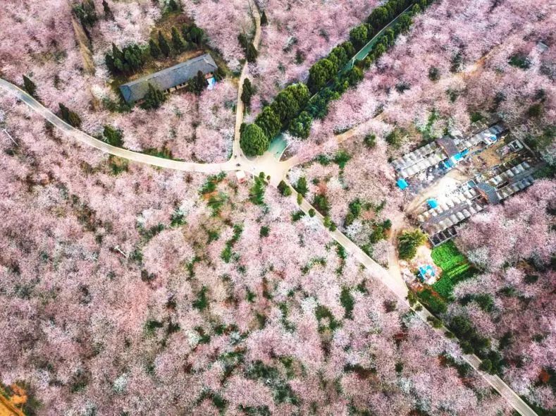 2017能在线观看的网站 结果遇到了封号问题