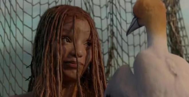 暗网视频在线观看