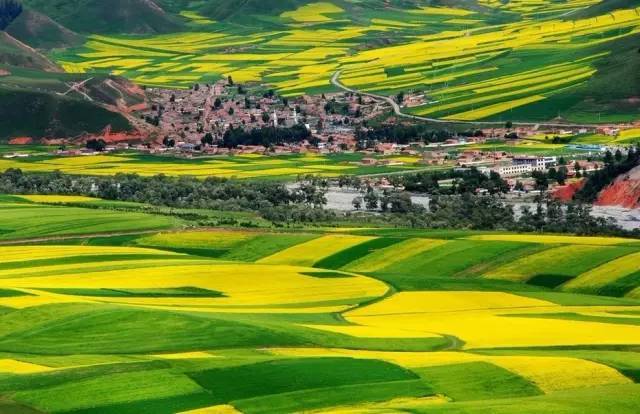 吃瓜料网 吃瓜料网适合碎片化阅读