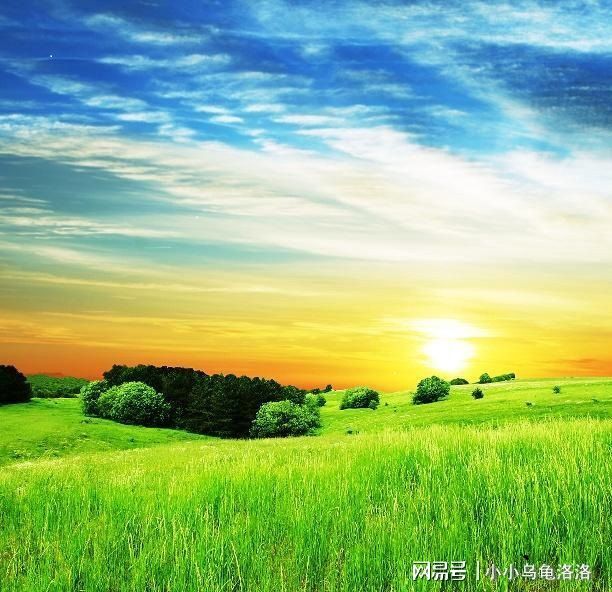 红桃传媒一区 传媒是红桃否选择它