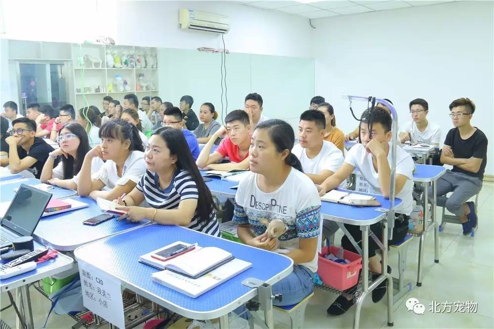 无限臀山官方网址