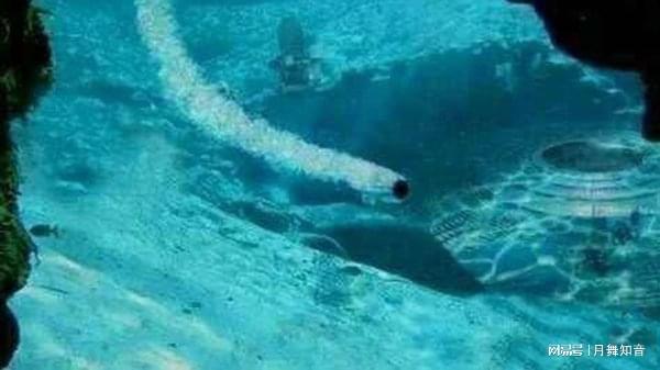 直播github永久回家地址 Clone、直播配置极简