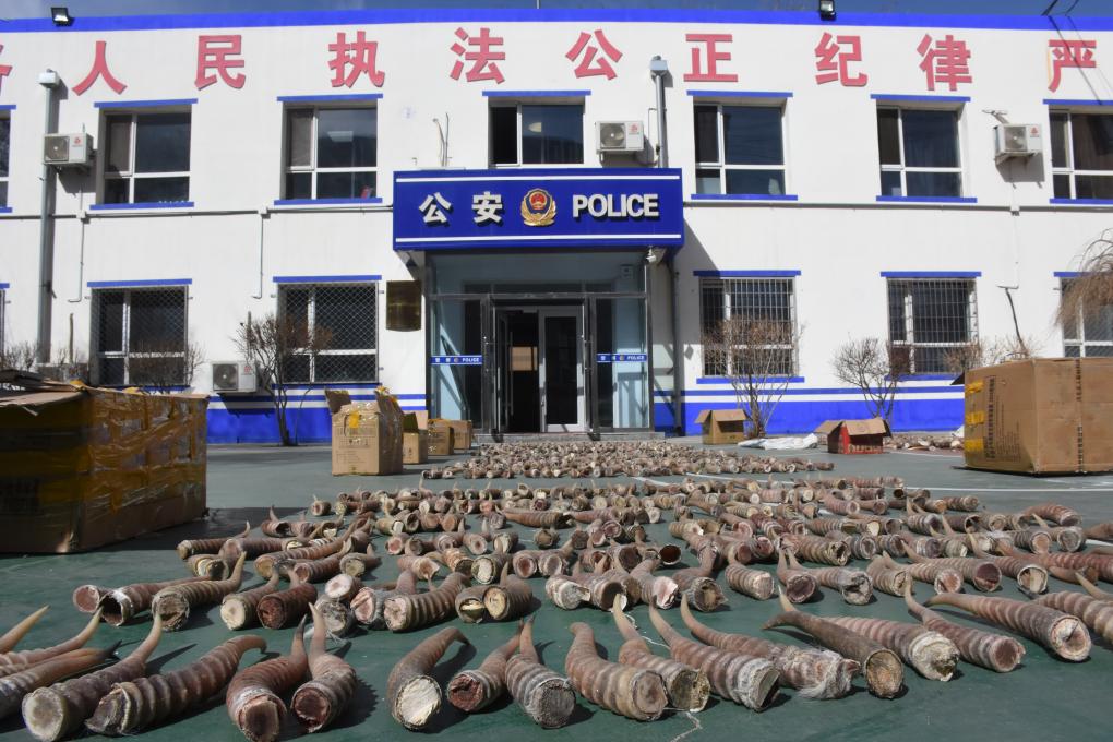 人妻激情综合久久久久蜜桃 人妻激情综合久久久久蜜桃