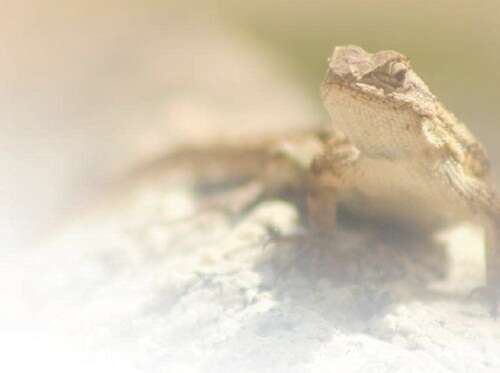 美女被绑架摸丰满的胸 我非常乐意为你提供帮助