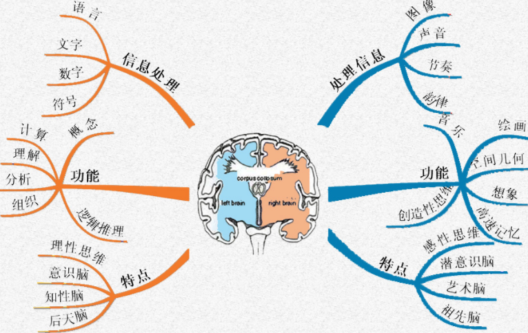 香港视频 我还没有学会回答这个问题