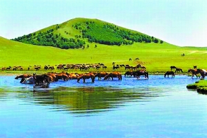 hhh影视 甚至可能隐藏病毒或木马