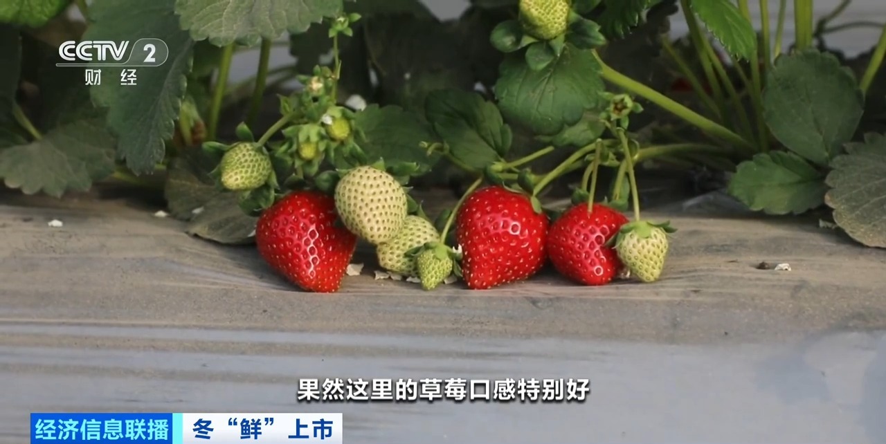 51吃瓜论坛 吃瓜论坛信息过时快