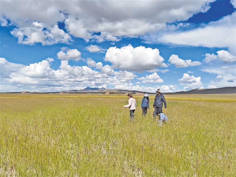网红在线视频 线视美食)在正规平台搜索