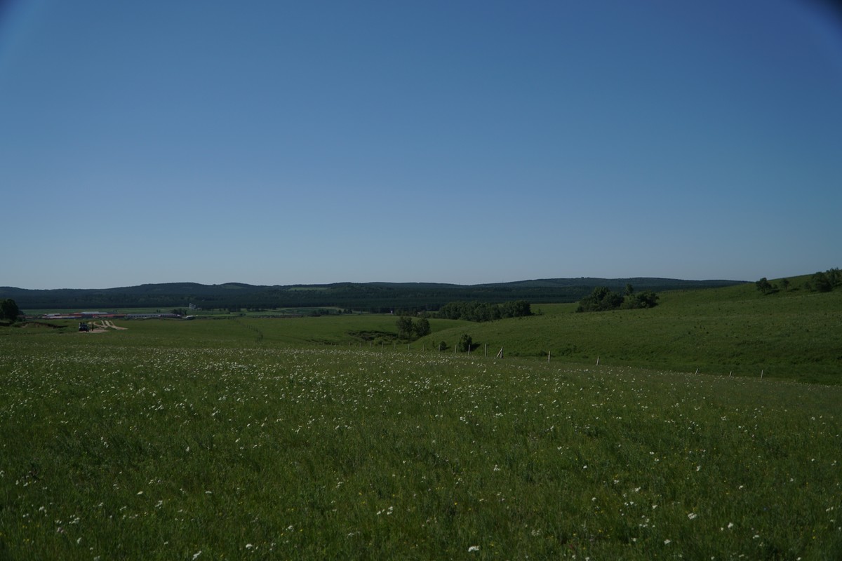 51区视频 我非常乐意为你提供帮助