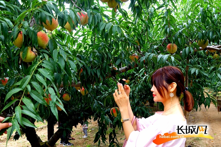 里番动 漫 在 线 +观 看