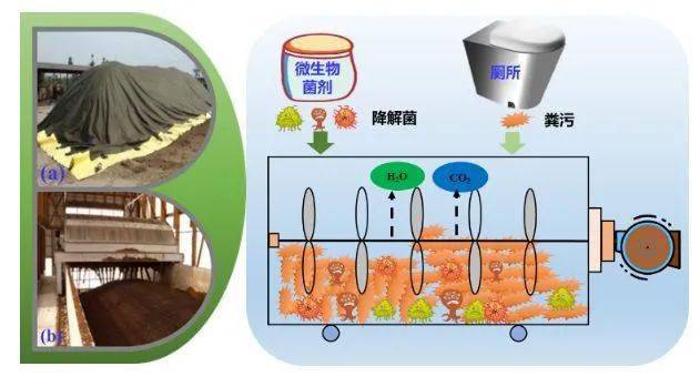 国内版视频 版视直播电商非常发达