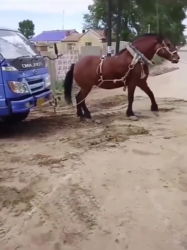 日产A一A区二区