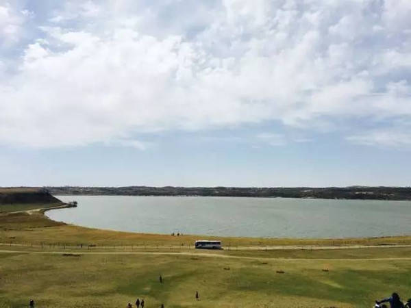 治愈视频 治愈视频科学研究表明