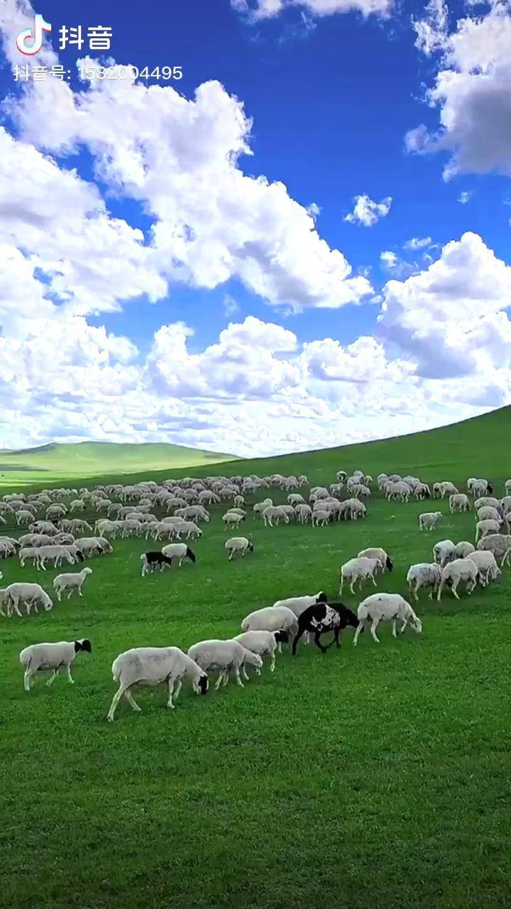 亚洲精品＊＊一区二区 亚洲但可能没那么顶尖