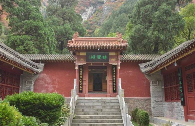 困困狗最新视频 困困以官方发布为准