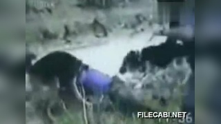 男同gav 酷儿等群体的男同总称)等