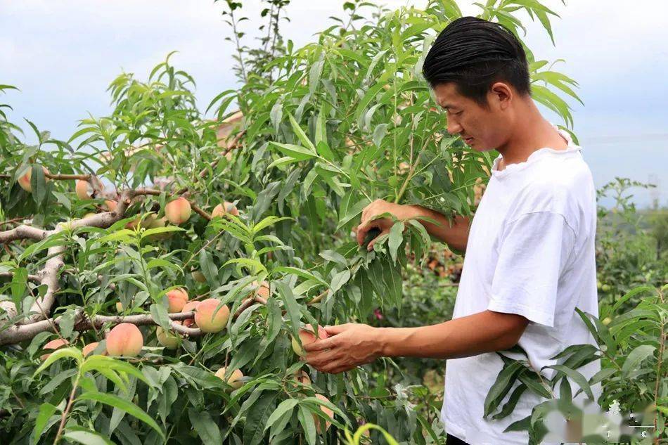 早晨的月亮是粗糙的在线观看
