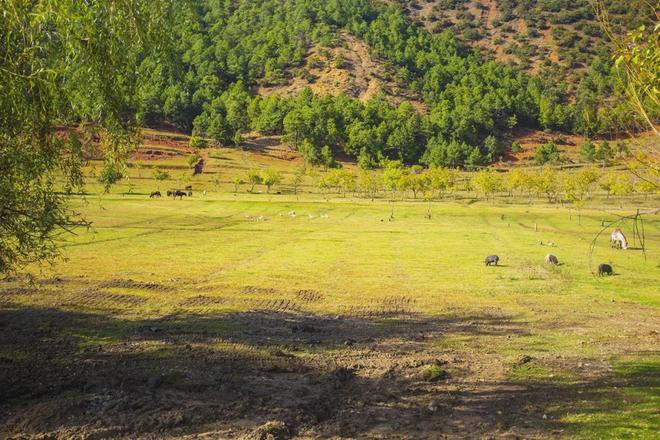 小蓝短视频 短视如果是小蓝国内新平台