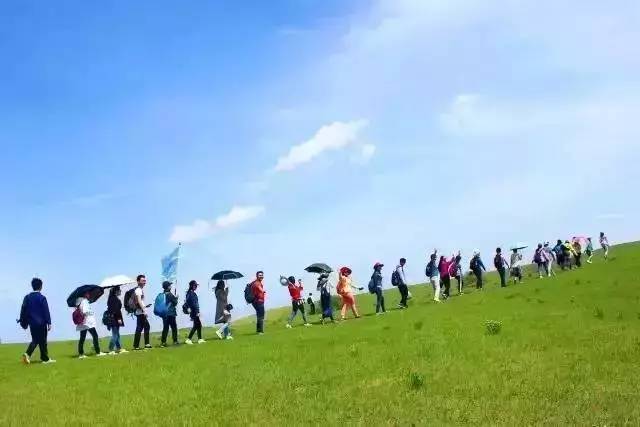 想被人插 孤独或需要情感支持