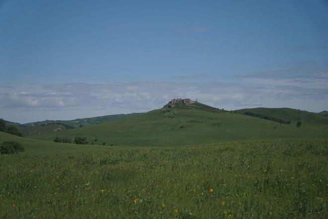 国内精品自产拍在线少密芽 那可真是精品错过了不少好料