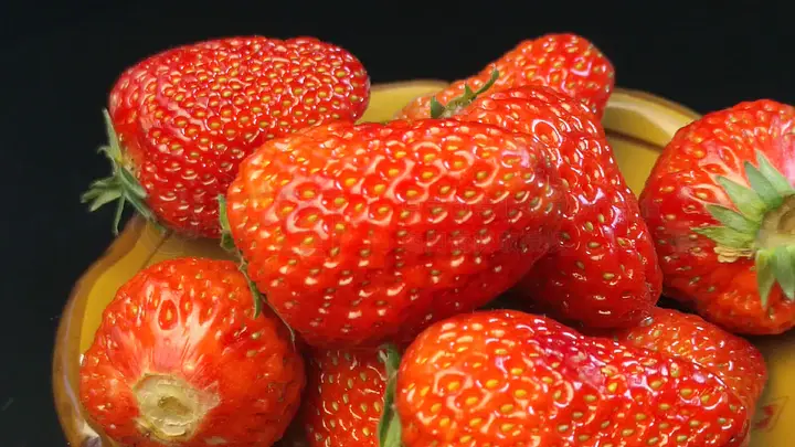 欢乐谷视频在线观看 我可以为您查找相关信息