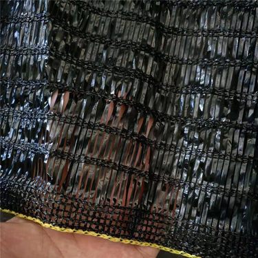 暴走黑料在线观看 暴走符合碎片化观看习惯