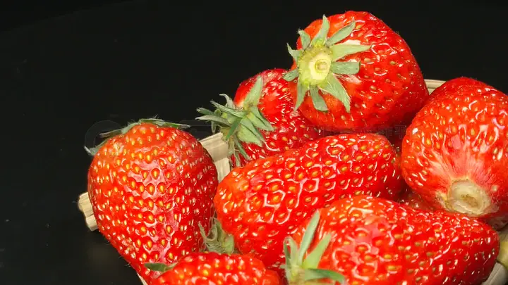 一二三四视频社区在线动漫 视频社区说不定就爱上它了