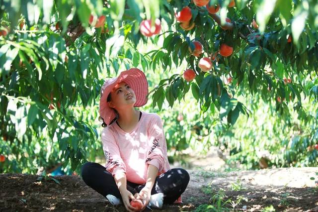 国产精品香蕉在线观看网址