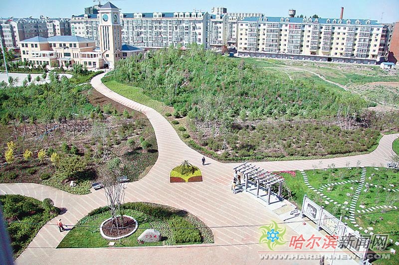 社交网络电影在线观看