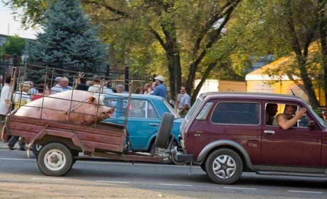 唉视频 唉视频🎬✨唉视频唉视频