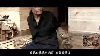 小马拉大车奋力的输出 调整节奏比耗尽力气更重要