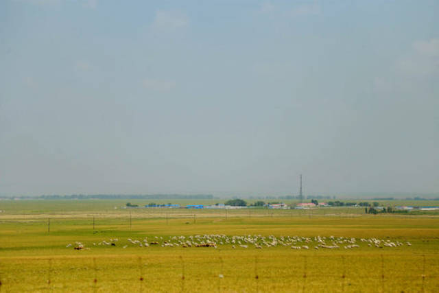 国产精品特级毛片久久久 