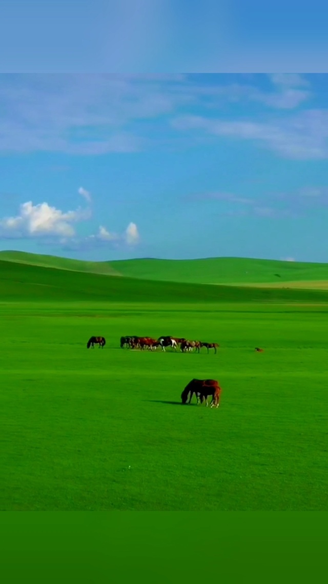 国产99亚洲午夜精品久久久