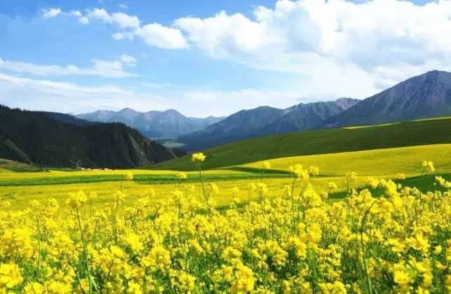 51海角黑料不打烊 3) 采用社群互动设计